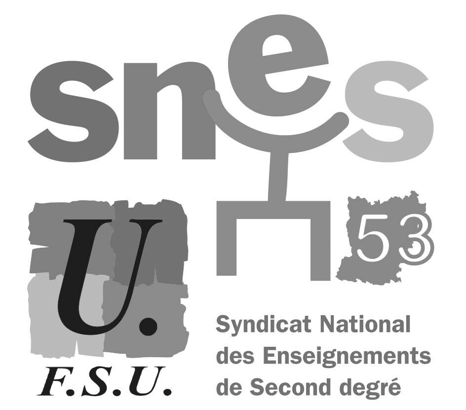 SNES-FSU 53